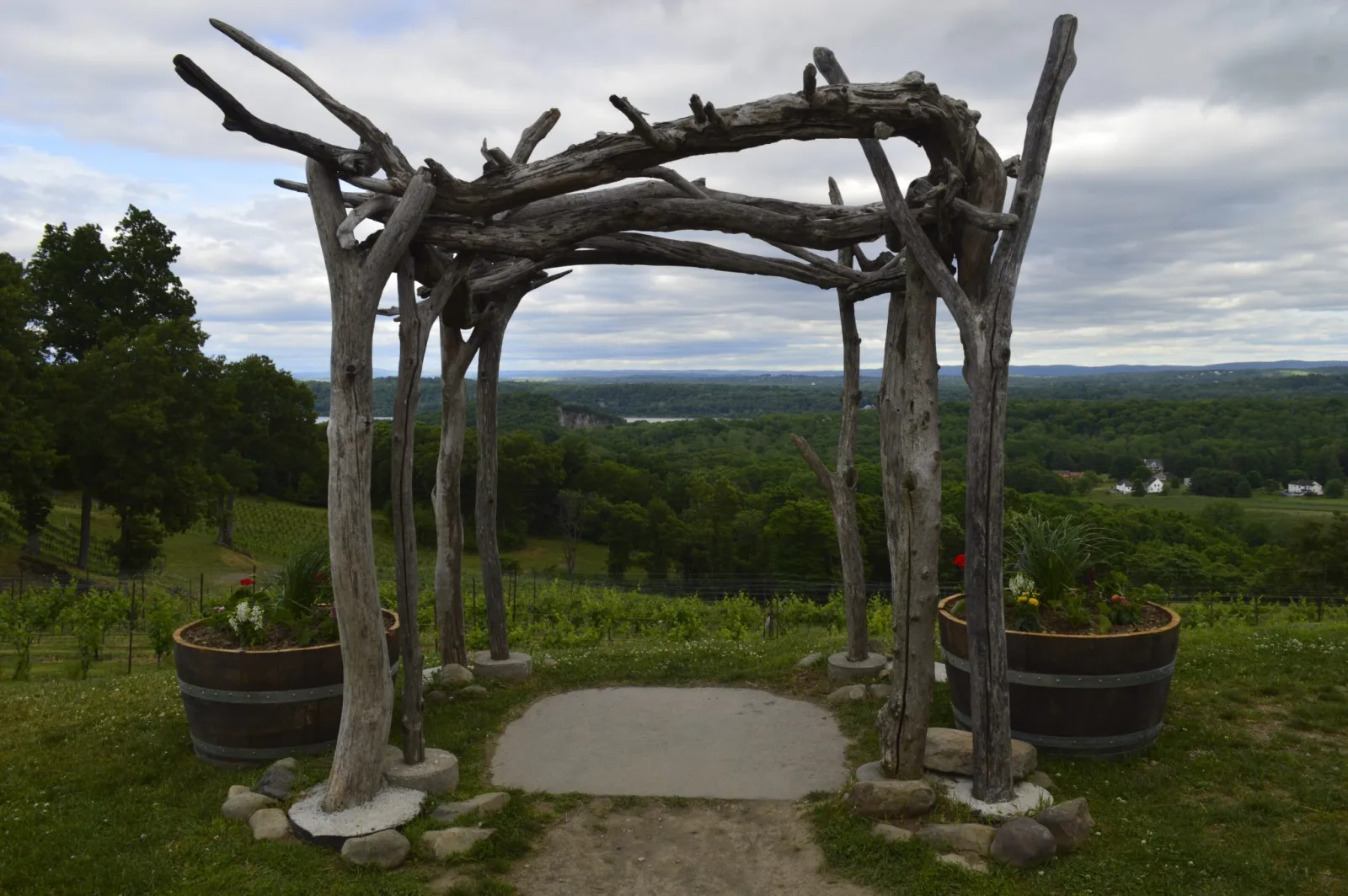 Swedish Vineyards Thrive Amid Climate Change Challenges